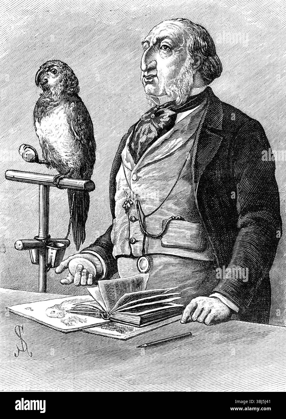 Strani schizzi ai giardini zoologici: "Birds of a Feather", 1881. "Tra i visitatori osservanti e meditativi di una qualsiasi di quelle istruttive mostre di animali e uccelli stranieri, che si trovano nelle principali città d'Europa... alcune menti saranno tentate di rilevare stravaganti somiglianze tra le diverse specie di animali che vi sono posti in vista, e la varietà di figure umane caratteristiche incontrate all'interno o all'esterno dei recinti assegnati alla collezione zoologica. Alcuni esempi di questo tipo di somiglianze non progettate e incoscienti, che possono essere viste Foto Stock