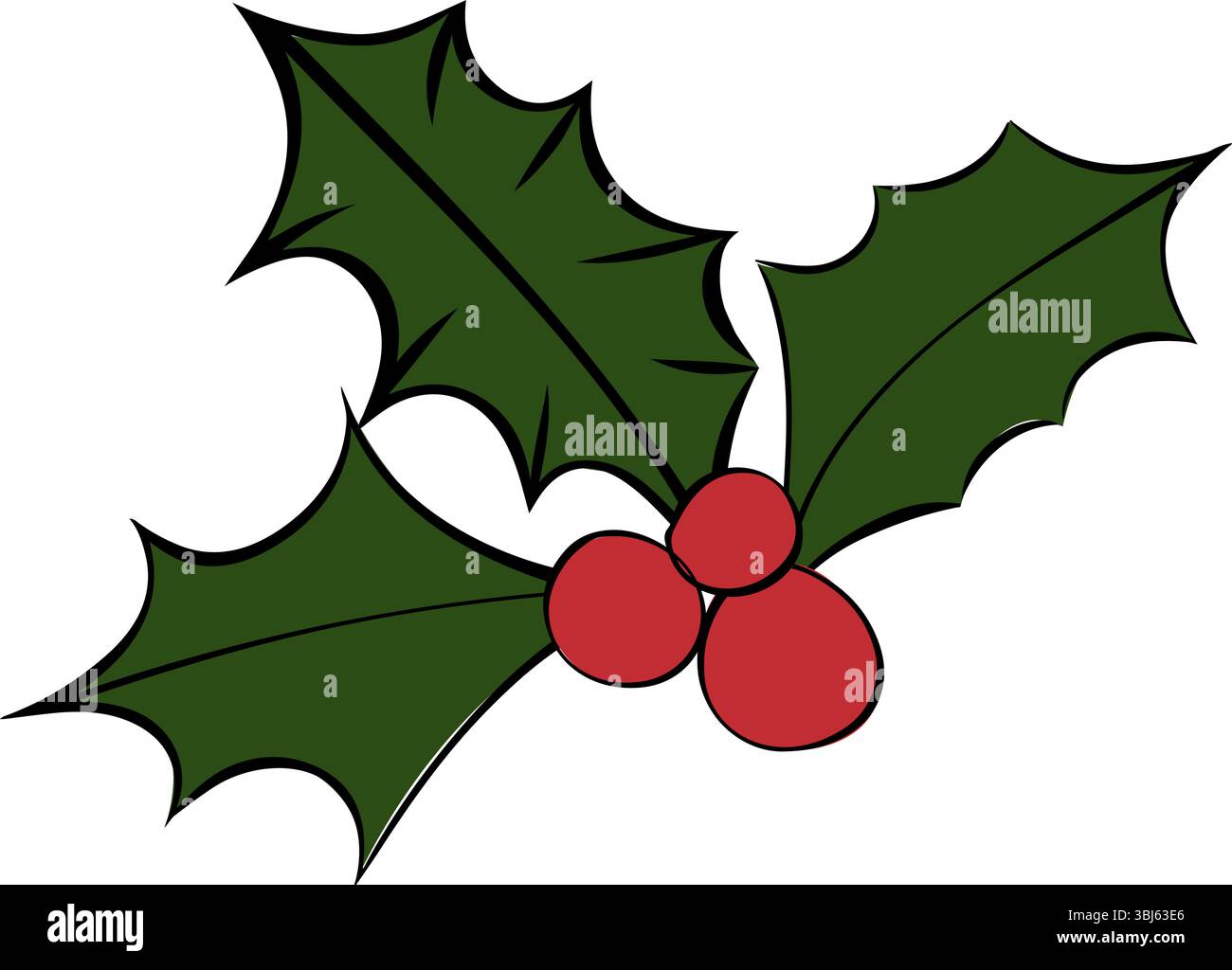 Christmas Holly Berries composizione vegetale isolata. Illustrazione dell'inchiostro con linee grafiche vettoriali. Mistletoe with Small Plant Behind for Decoration. Per il logo, Illustrazione Vettoriale