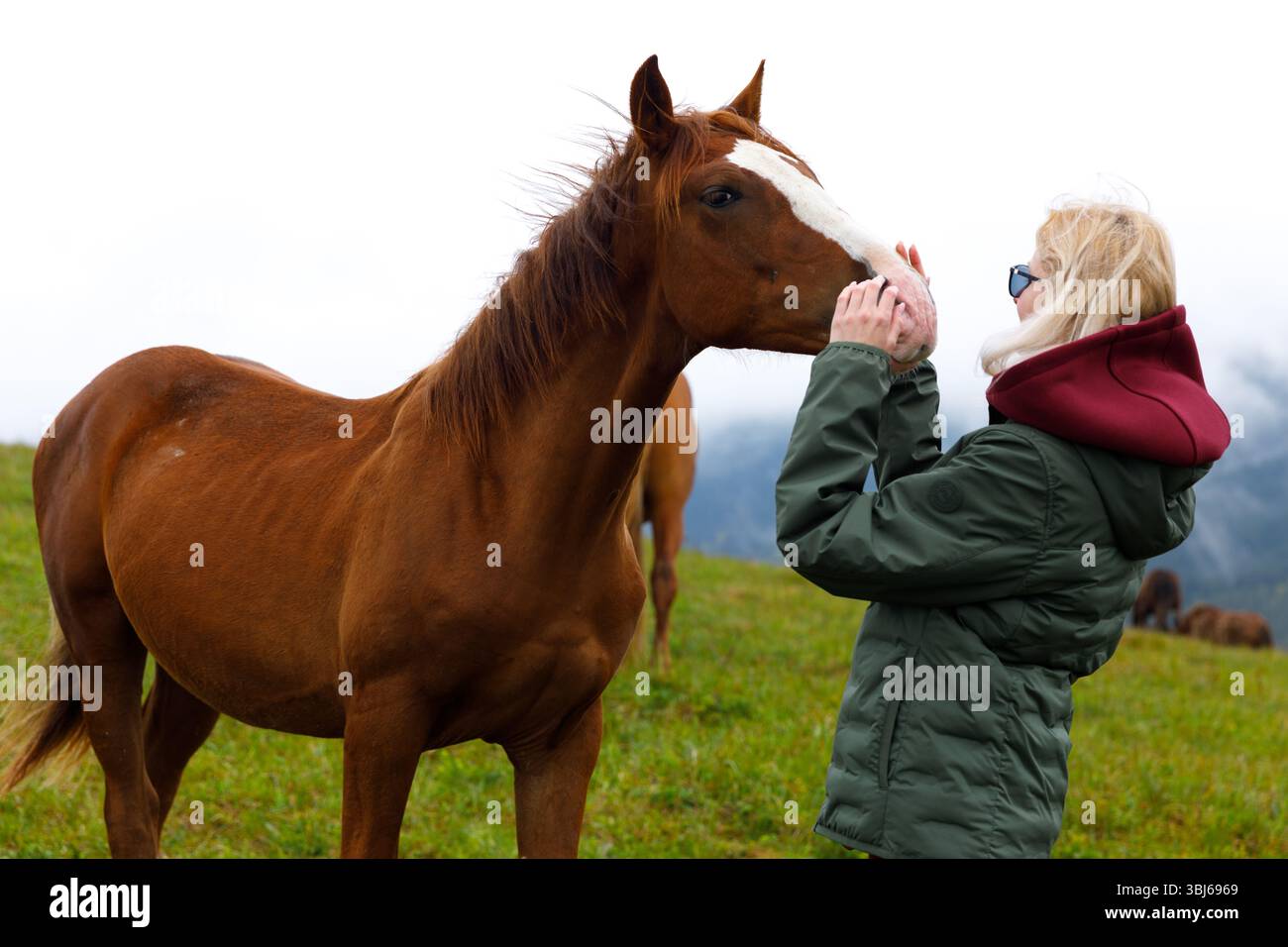 In questa scena toccante, una donna condivide un momento di affetto con un bellissimo cavallo, mostrando la profonda connessione tra esseri umani e animali in un sc Foto Stock