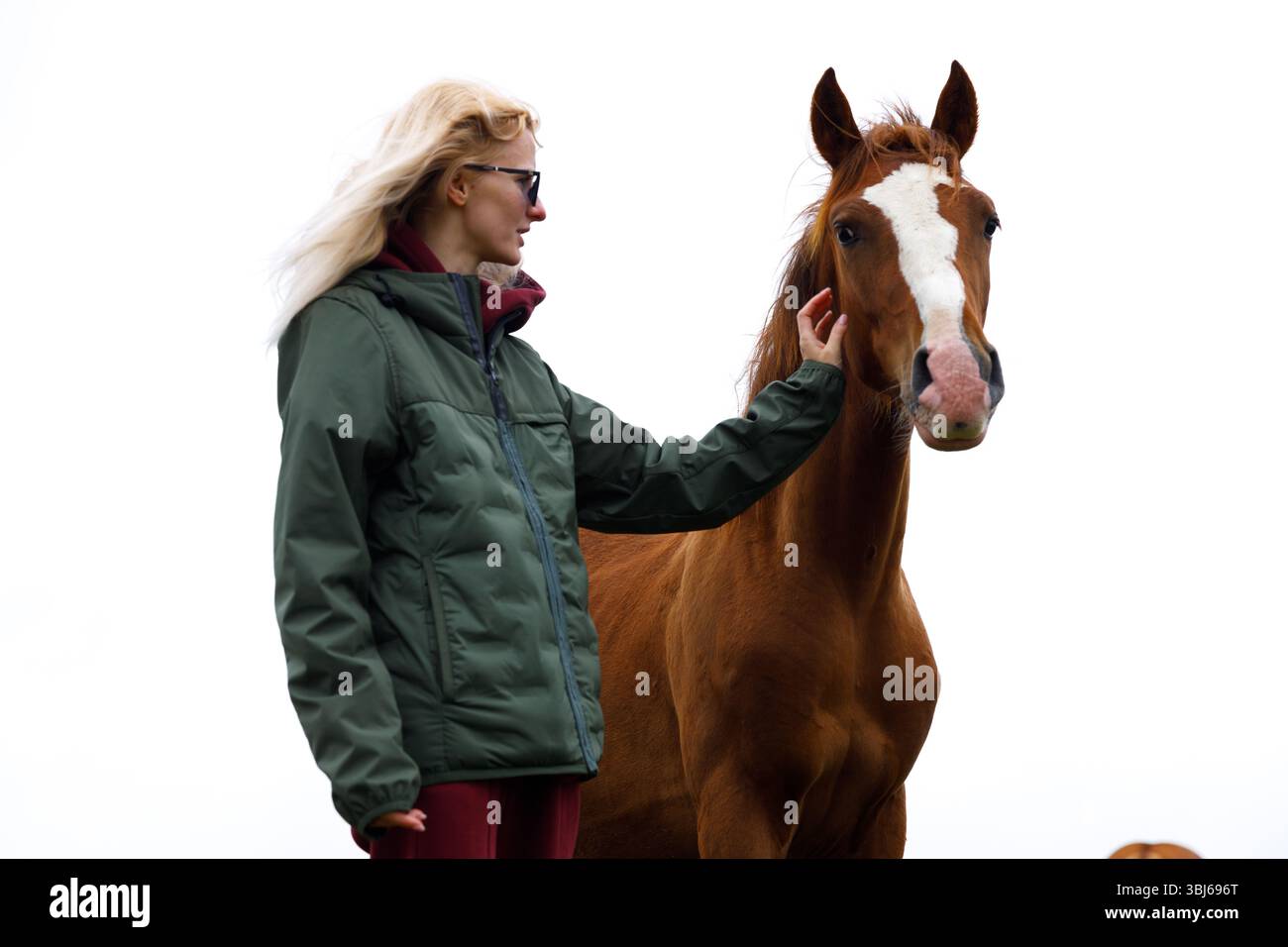 L'immagine cattura una donna che tocca delicatamente il volto di un cavallo, illustrando un momento di connessione e fiducia reciproca, contro un dorso morbido e neutro Foto Stock