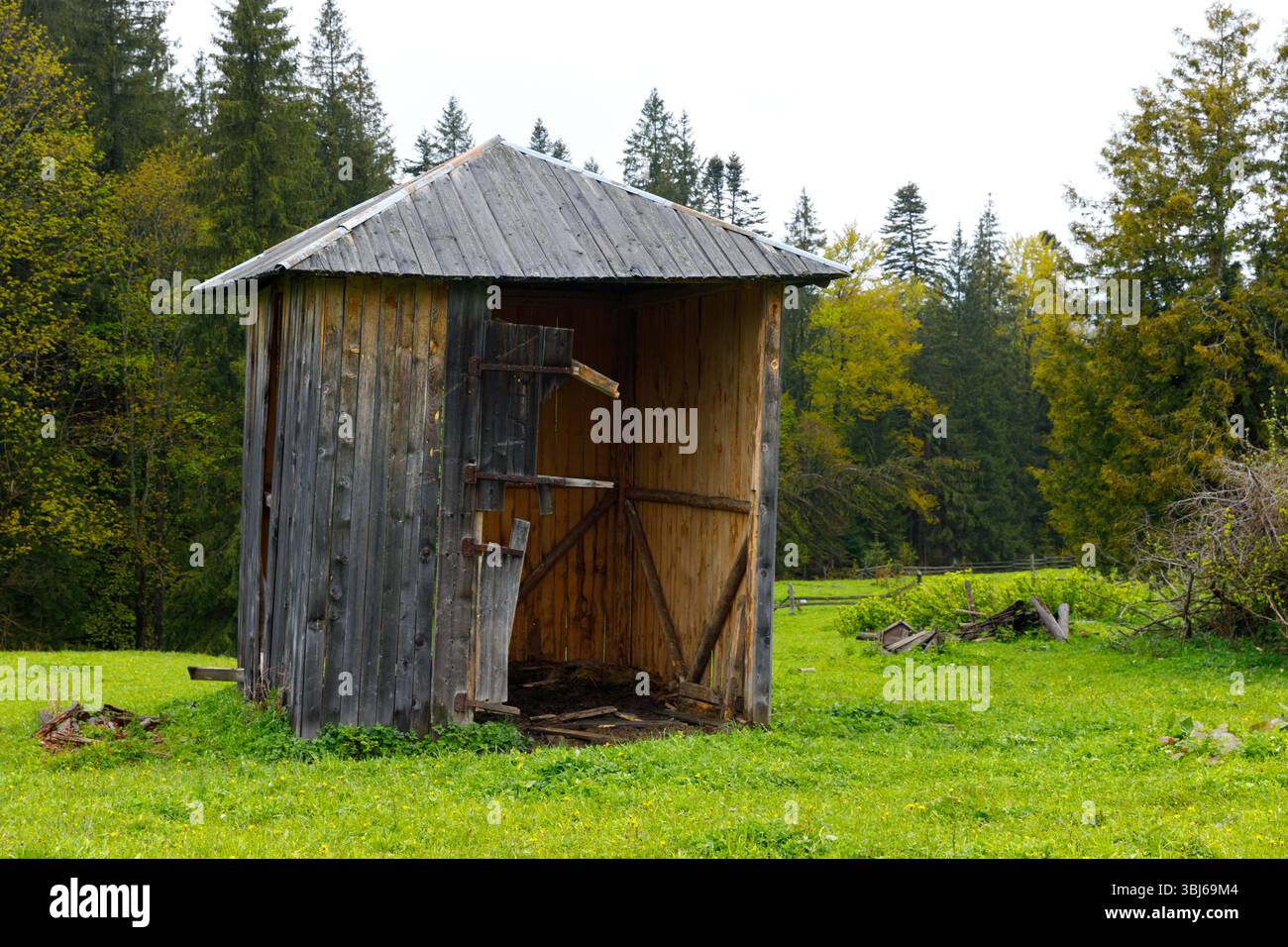 Questa immagine mostra un capannone di legno fatiscente situato in un vibrante prato verde, circondato da alberi lussureggianti, creando una scena della natura serena ma inquietante Foto Stock