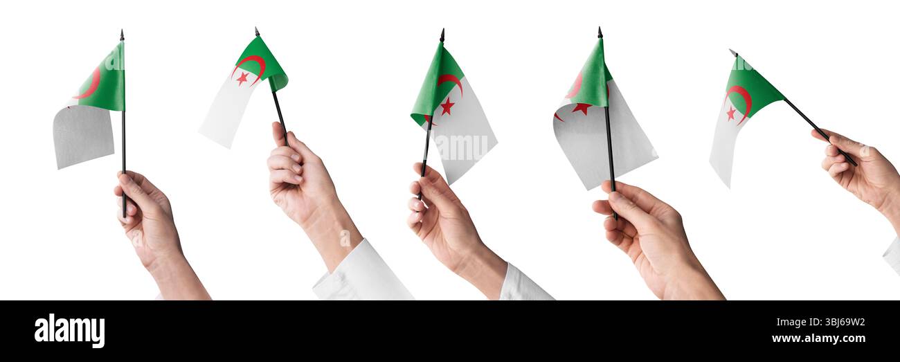 La bandiera algerina in mano in diverse angolazioni su sfondo bianco Foto Stock