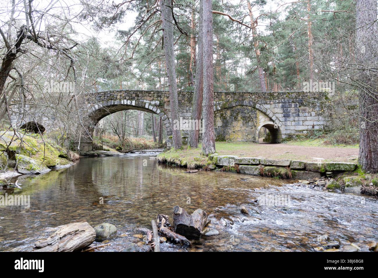 Le rive del fiume Eresma mentre attraversa la Sierra de Guadarrama nella provincia di Segovia Foto Stock