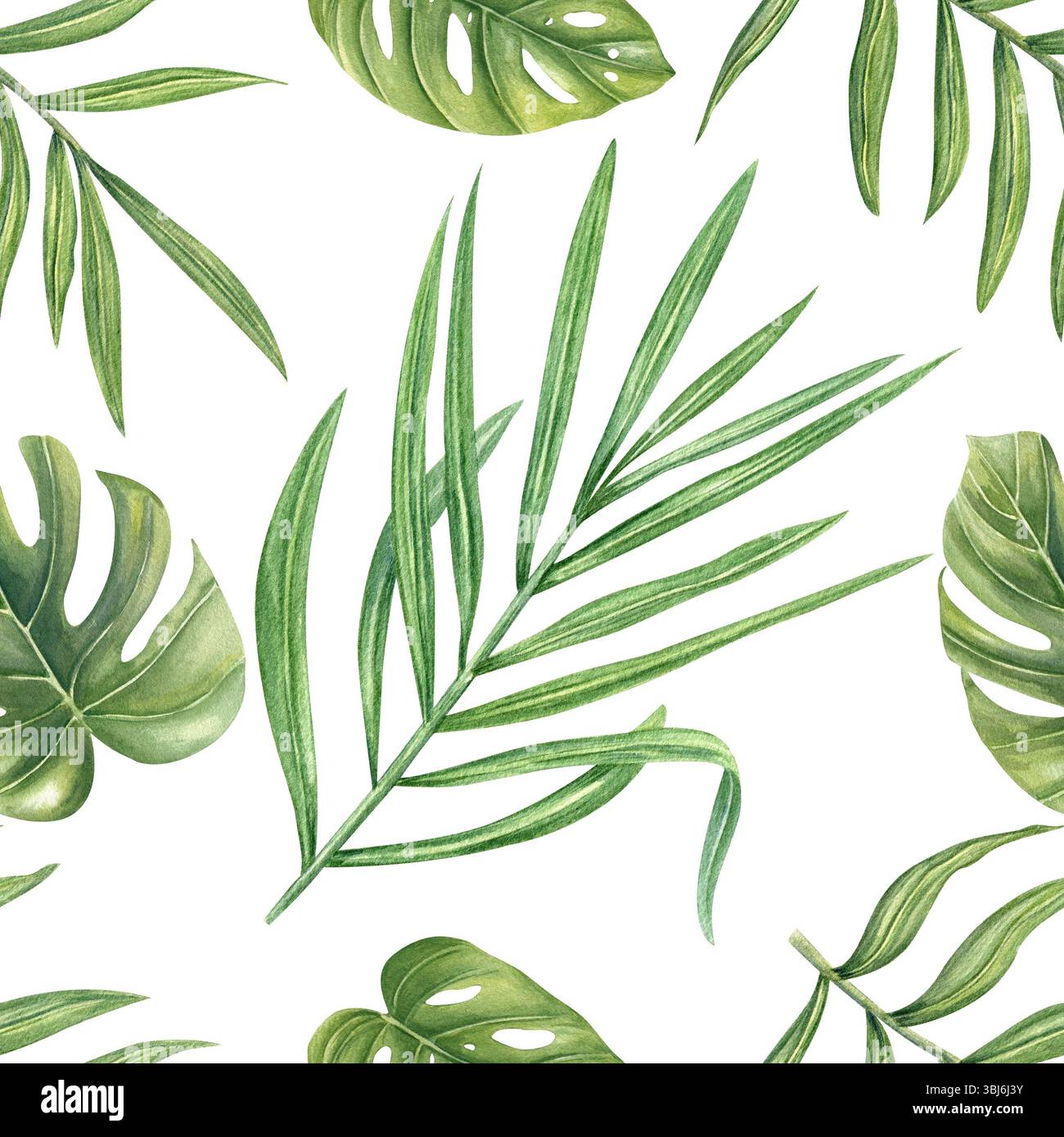 Foglie tropicali acquerello sfondo isolato senza cuciture. Monstera, philodendron, areca illustrazione di foglie di palma per carta da parati, design tessile Foto Stock
