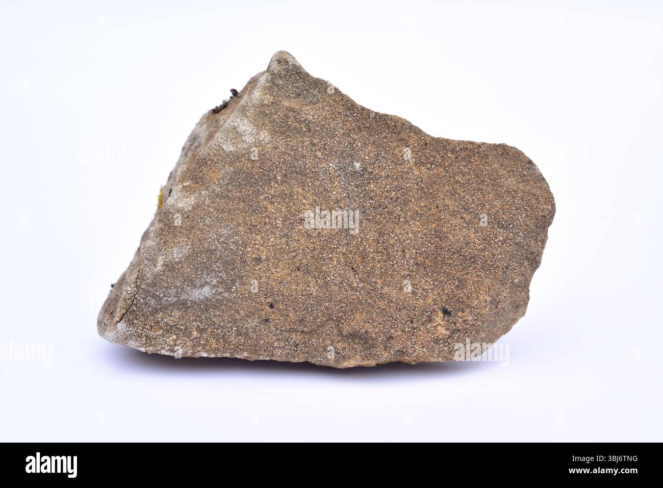 Arenaria, roccia sedimentaria clastica. Questo campione viene dalla Spagna. Foto Stock