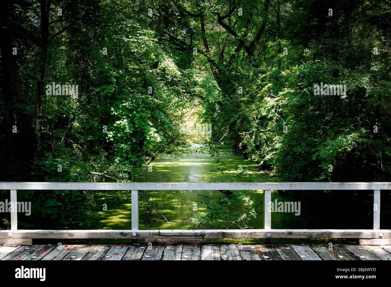 Una giornata tranquilla al ponte di Silvertown Lane sul fiume Pocaty che attraversa Chesapeake, Virginia. Foto Stock