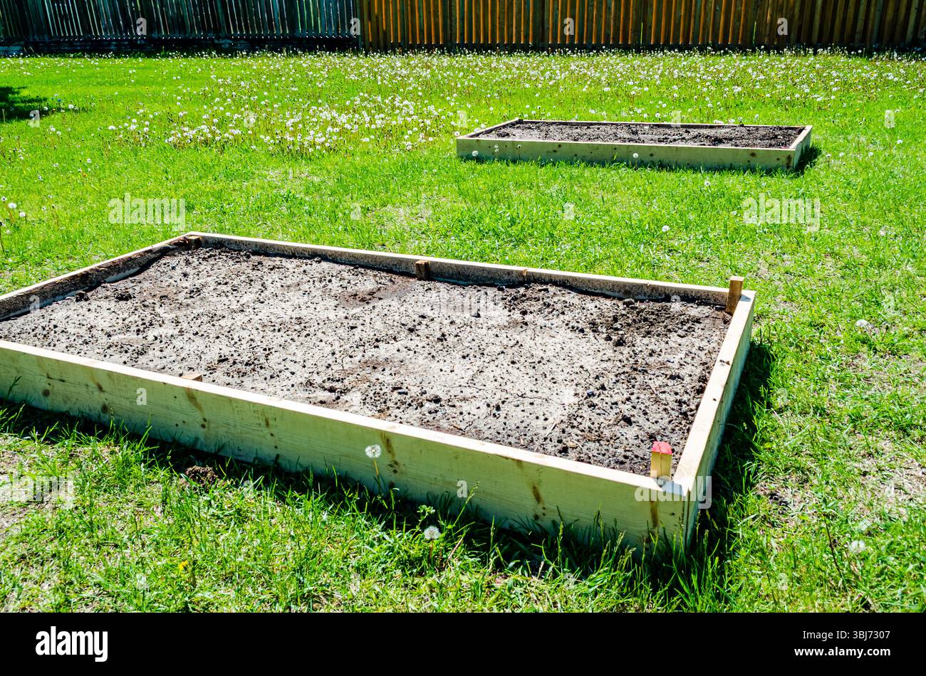 Due letti rialzati freschi in un giardino urbano illuminato dal sole Foto Stock