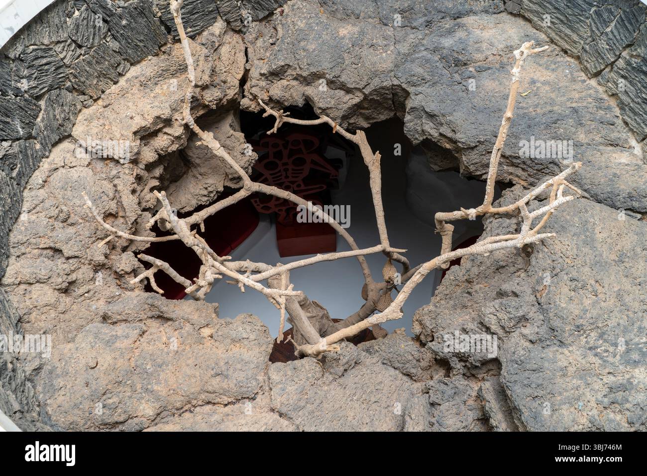 Un dettaglio architettonico unico alla Fondazione Cesar Manrique di Lanzarote, che mostra elementi e texture naturali. La composizione presenta un albero Foto Stock