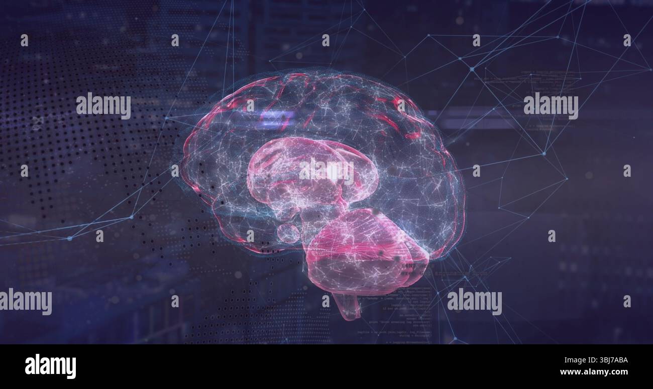 Modello cerebrale olografico fluttuante che mostra percorsi neurali nell'interfaccia dati, con nodi di rete Foto Stock