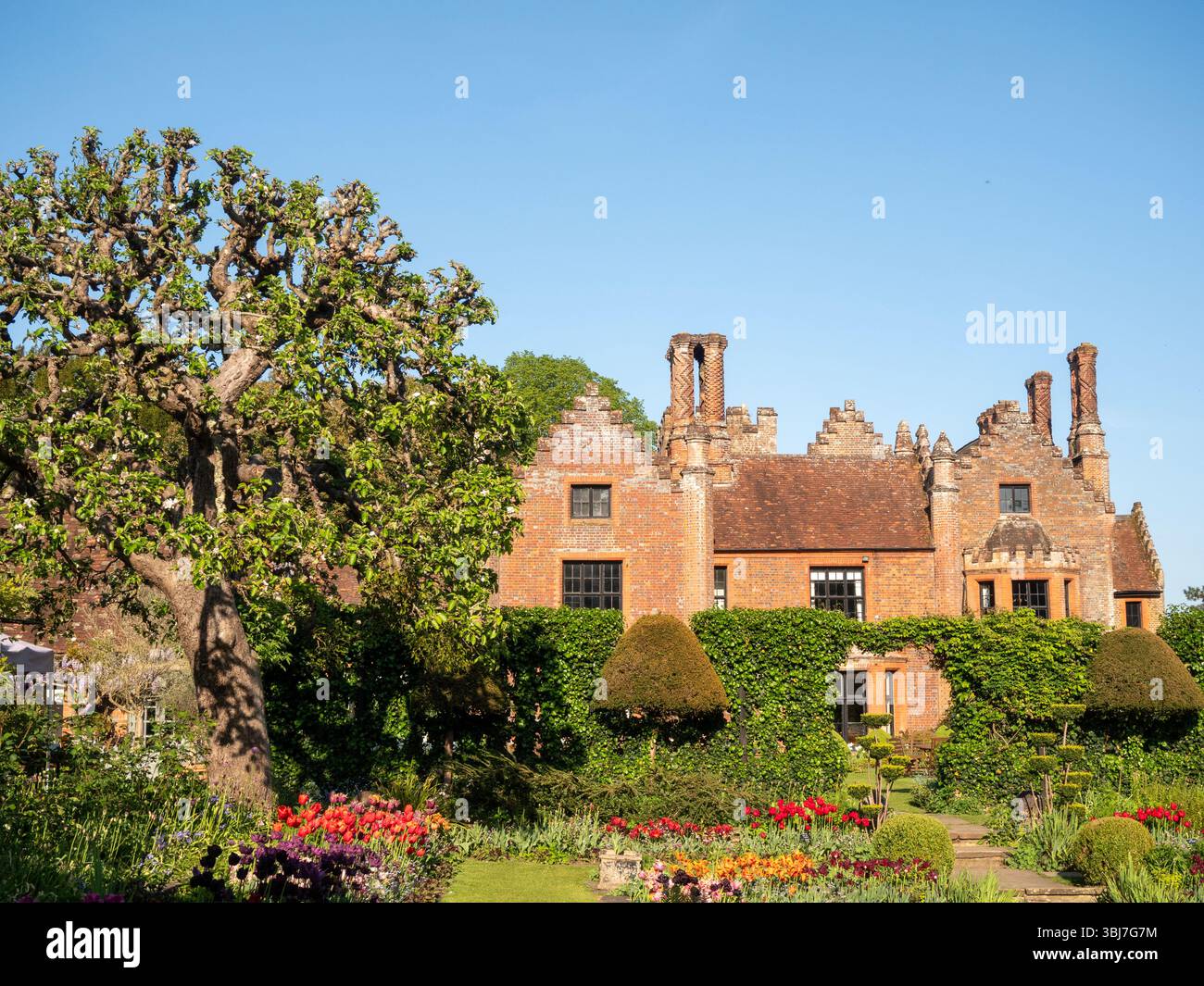 Chenies Manor e giardino sommerso all'ora dei tulipani. Foto Stock