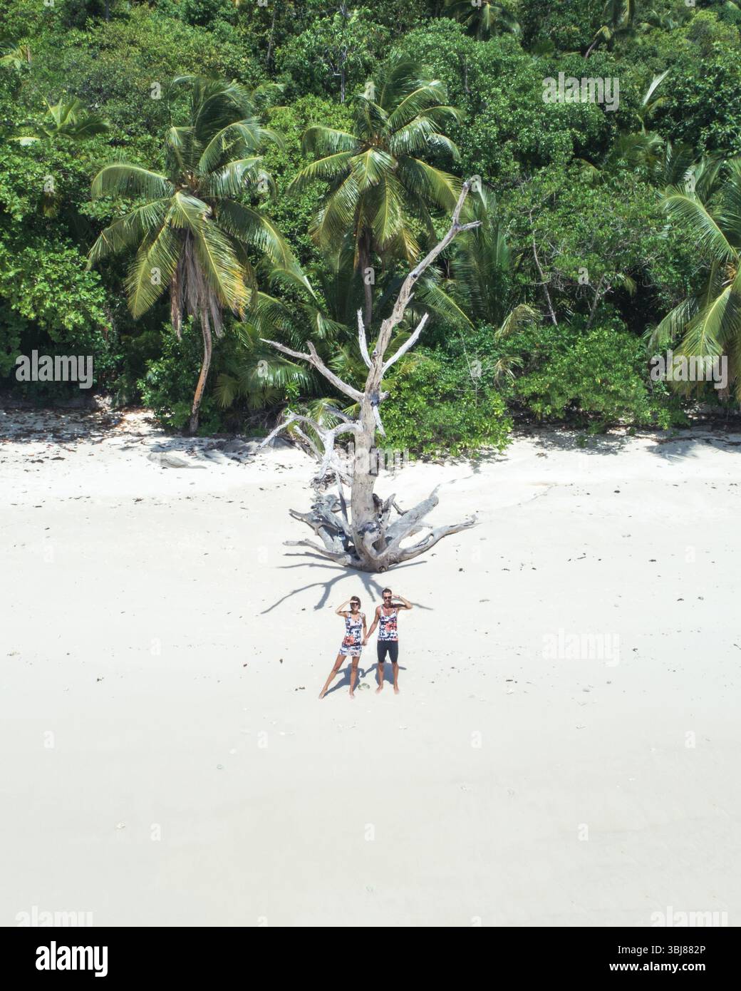 Vista aerea di giovani coppie in piedi sulla spiaggia di sabbia bianca delle Seychelles. Donna e uomo si tengono per mano e guardano lontano. Palme della giungla Foto Stock