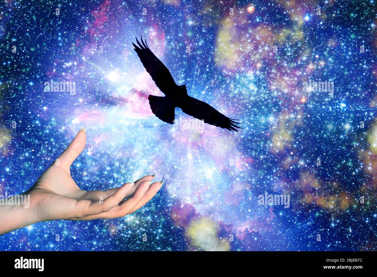 mano femminile e uccello che volano via, con uno sfondo universo stellato Foto Stock