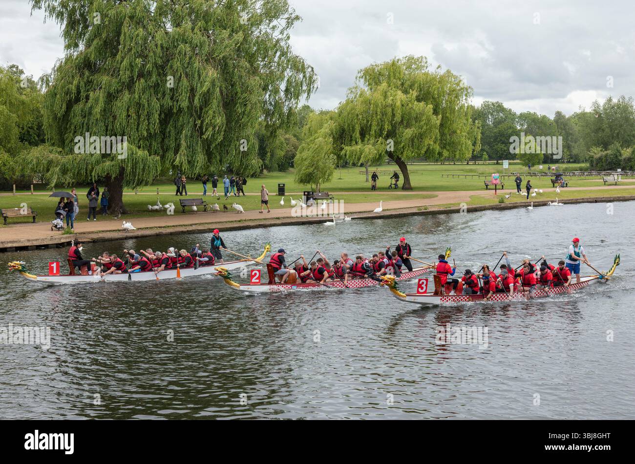 Gara di Dragon boat, Leamington Spa. Foto Stock