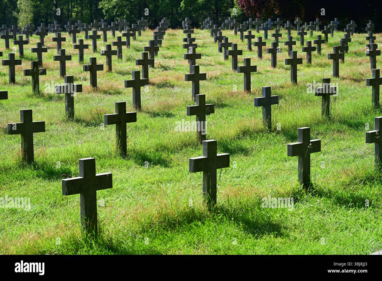 Cimitero di guerra tedesco di Ysselsteyn Foto Stock