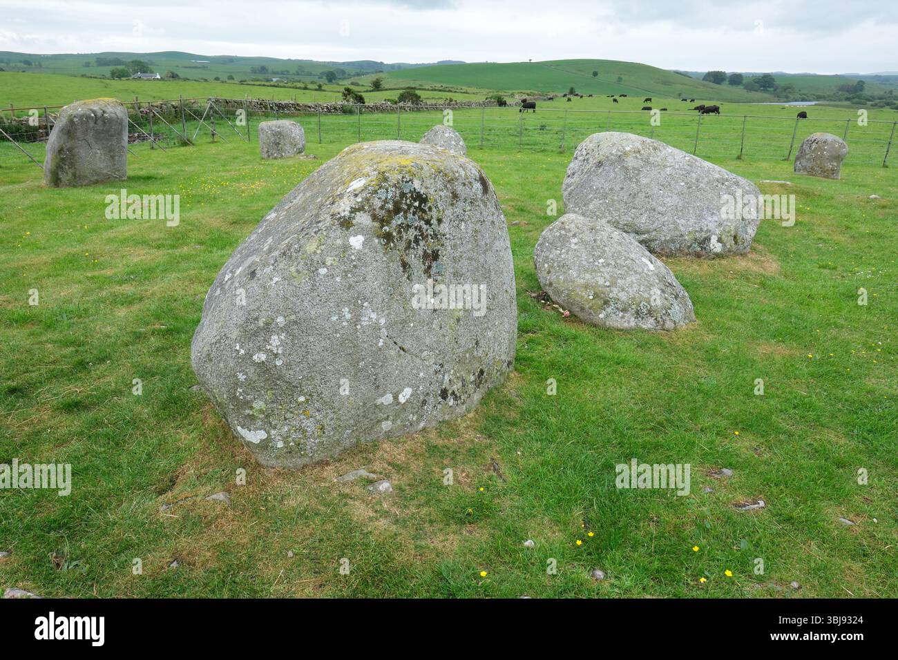 Torhouse Stone Circle vicino a Wigtown Scozia - antico cerchio di pietra di granito neolitico tra Wigtown e Kirkcowan - foto giugno 2025 Foto Stock