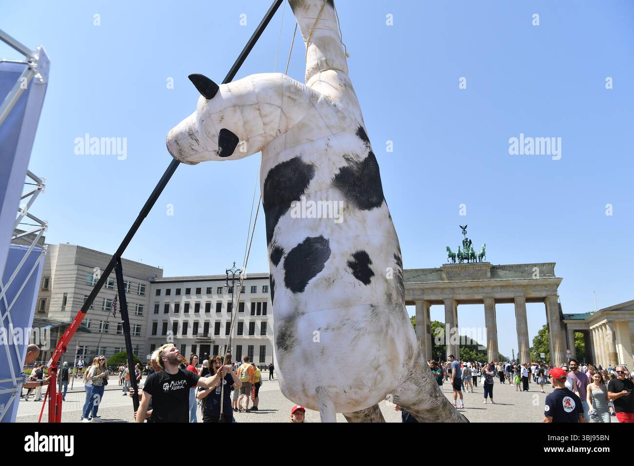 Berlino, Germania. 14 giugno 2025. Un modello sovradimensionato di mucca è appeso a una gru di fronte alla porta di Brandeburgo. La fondazione per il benessere degli animali "Vier Pfoten" (quattro zampe) fornisce informazioni sull'argomento della giornata internazionale contro il trasporto degli animali. L'organizzazione chiede un divieto nazionale del trasporto di animali vivi verso paesi terzi, una maggiore trasparenza e un miglior perseguimento delle violazioni del benessere degli animali. Crediti: Paul Zinken/dpa/Alamy Live News Foto Stock