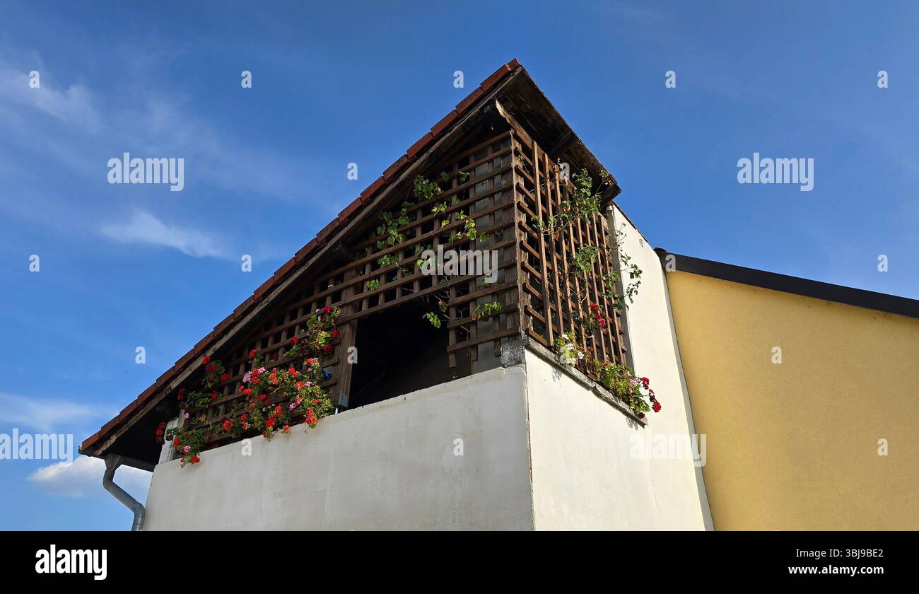 Il balcone superiore con tralicci in legno supporta piante rampicanti e fiori rosa e rossi, adagiato su una casa bianca e gialla con tetto piastrellato Foto Stock
