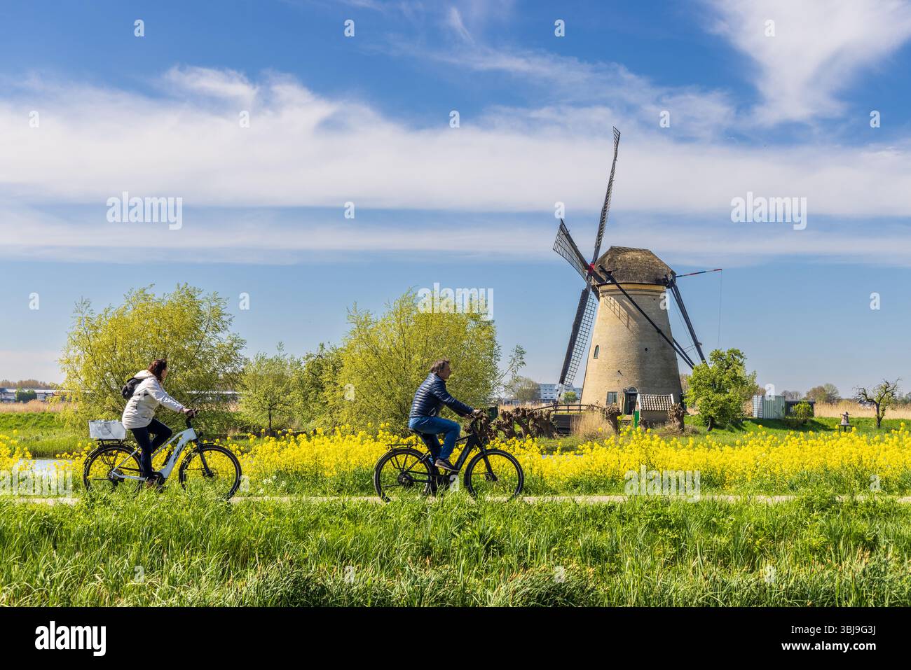 Mulini a vento di Kinderdijk, Pays-Bas, printemps Foto Stock
