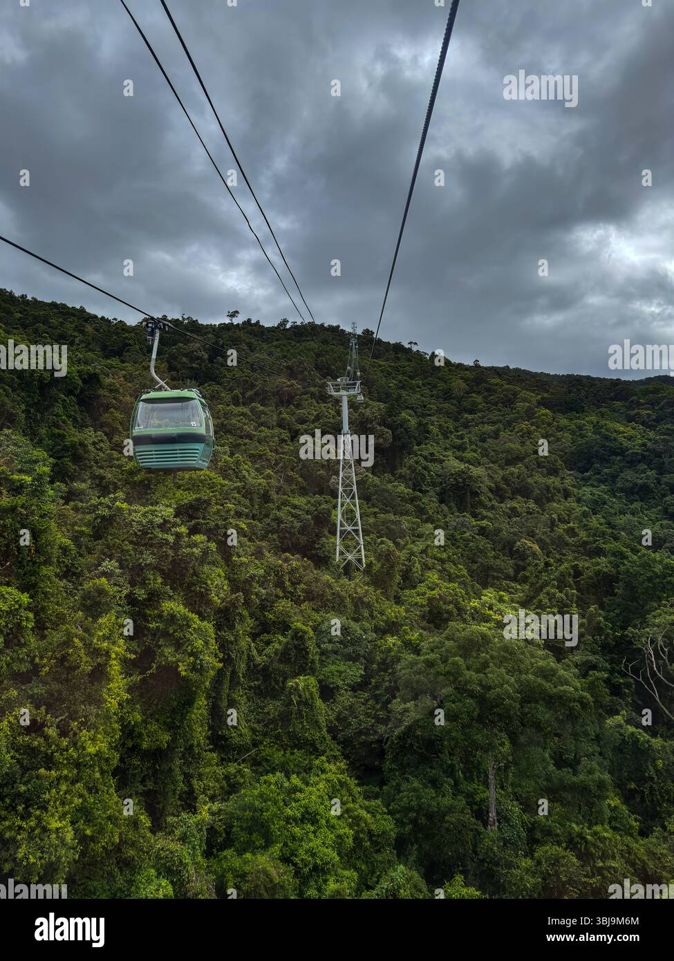 La funivia Skyrail Rainforest Cableway scivola sopra la lussureggiante foresta pluviale tropicale vicino a Cairns, Queensland, Australia, sotto cieli nuvolosi. Foto Stock