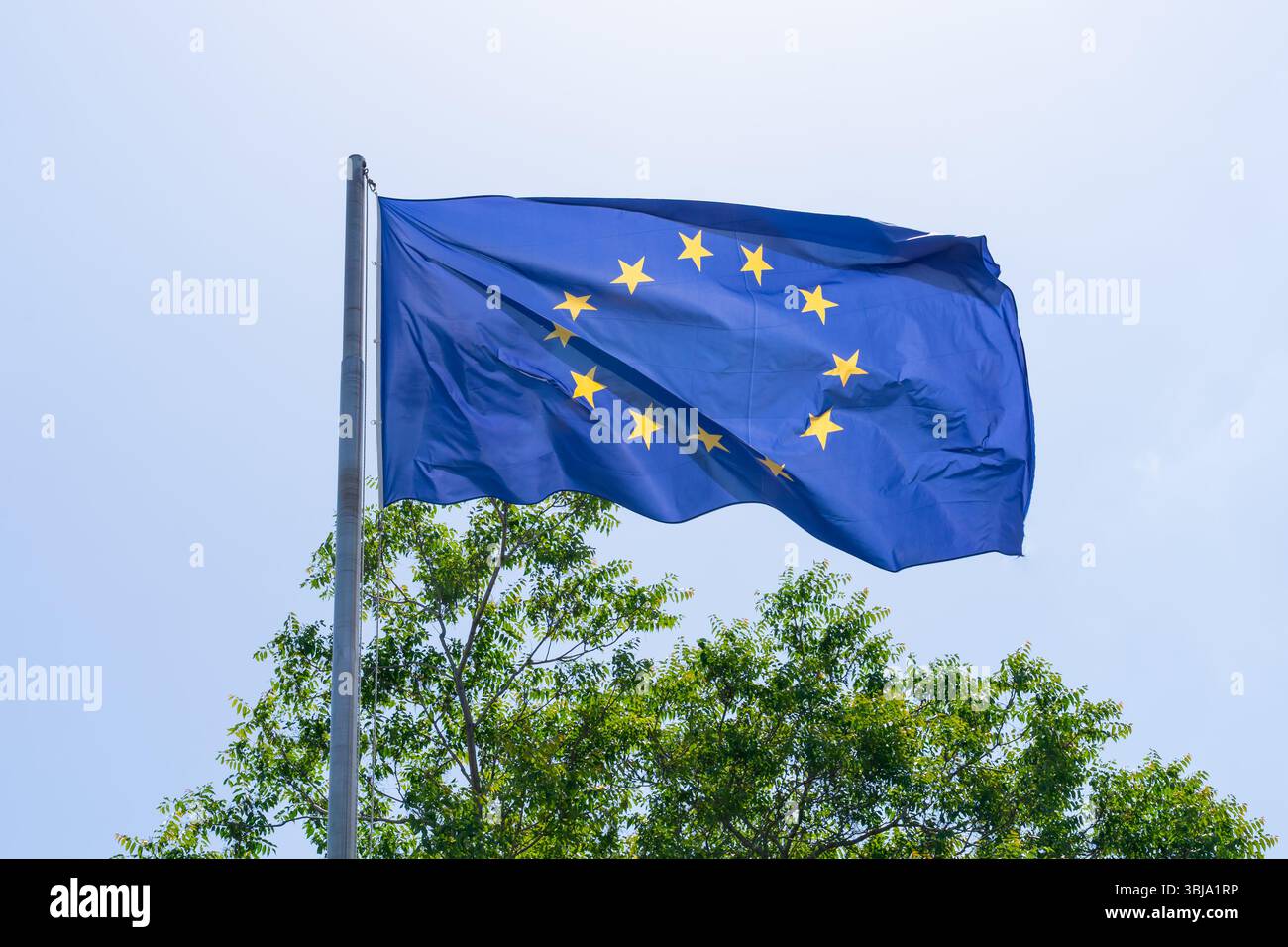 Una bandiera dell'Unione europea (UE) che sventola con un albero sullo sfondo. Foto Stock