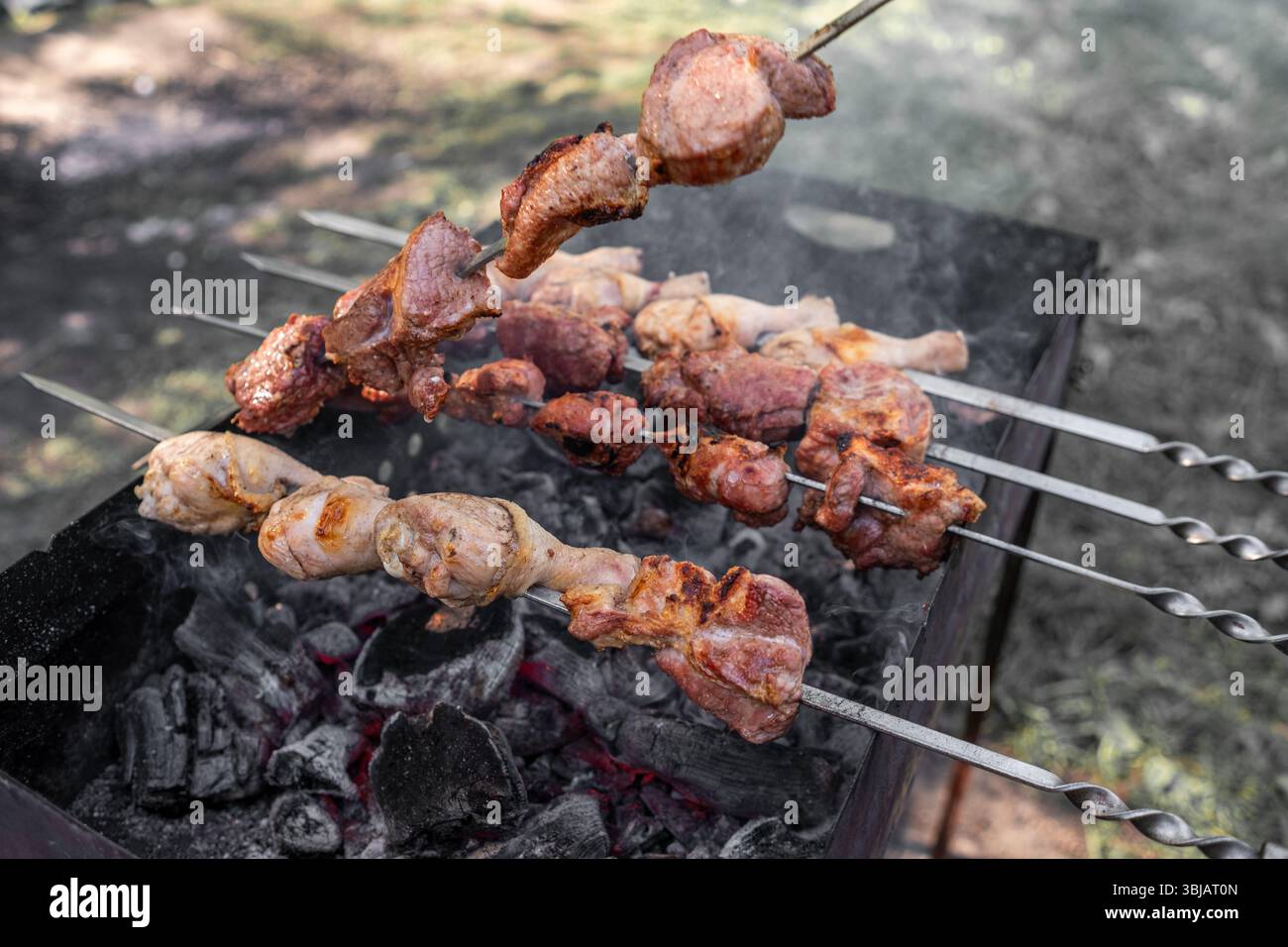 Godetevi un vivace raduno all'aperto mentre gli spiedini di carne marinata cucinano sopra il carbone scintillante in un'invitante atmosfera da cortile Foto Stock