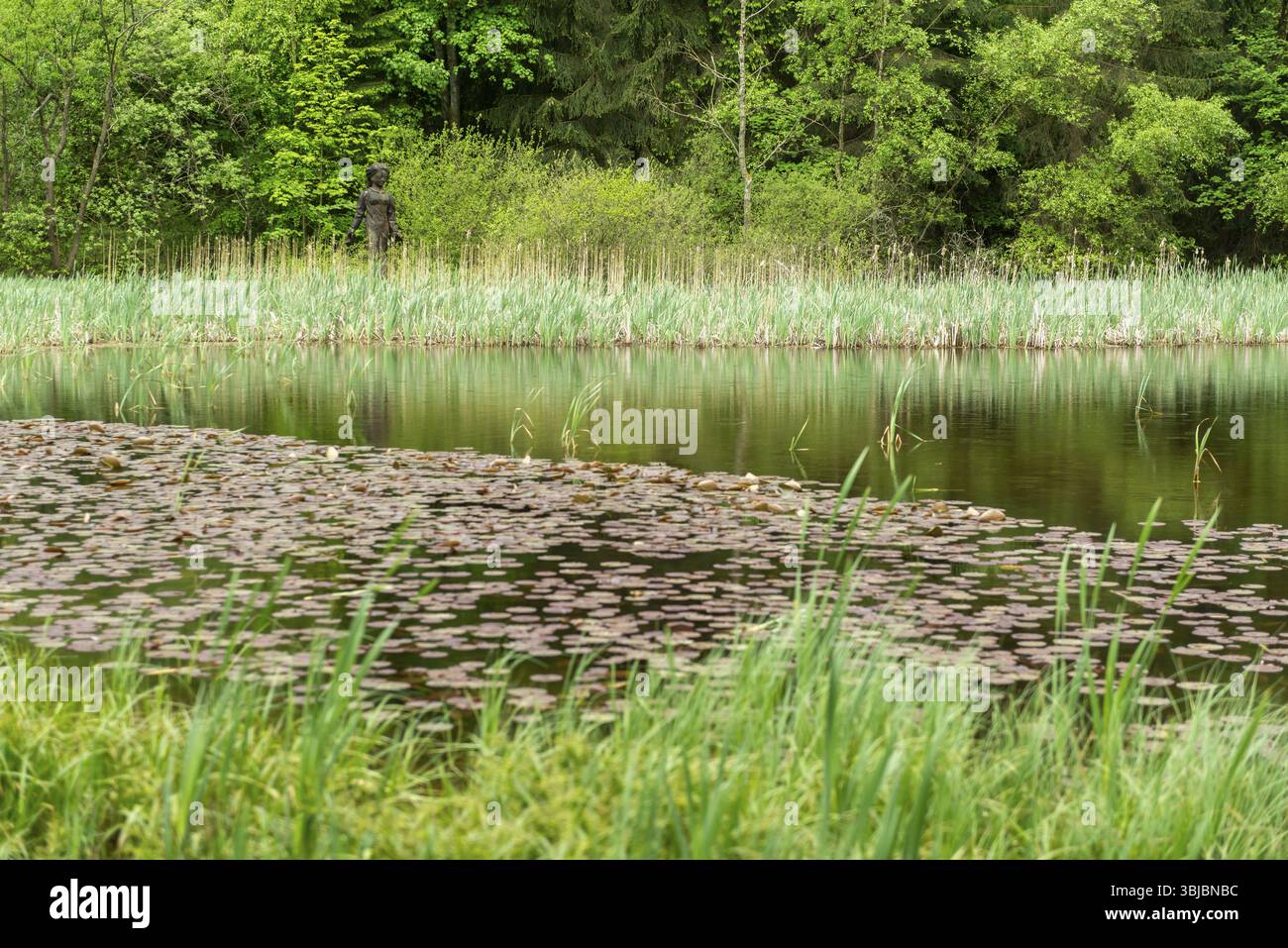 Laghetto Frau Holle nel parco naturale GEO, Frau Holle Land am Meissner, bassa catena montuosa, figura leggendaria, casa della fiaba, il divieto di canne nella foresta Foto Stock