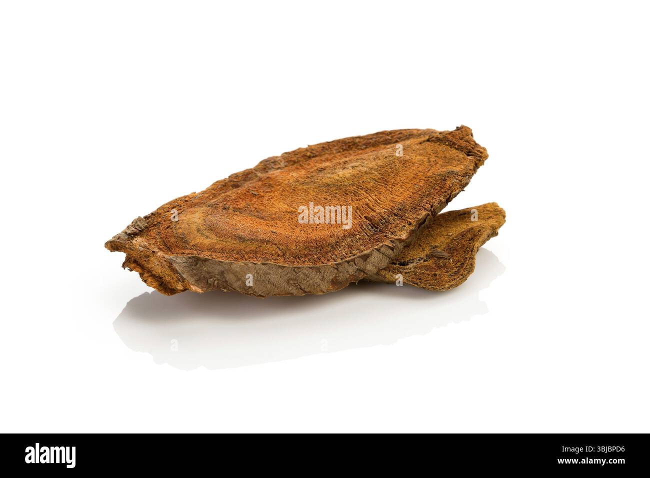 Radice di rabarbaro (da Huang) isolata su sfondo bianco. Medicina tradizionale cinese. Attivare la circolazione sanguigna Foto Stock