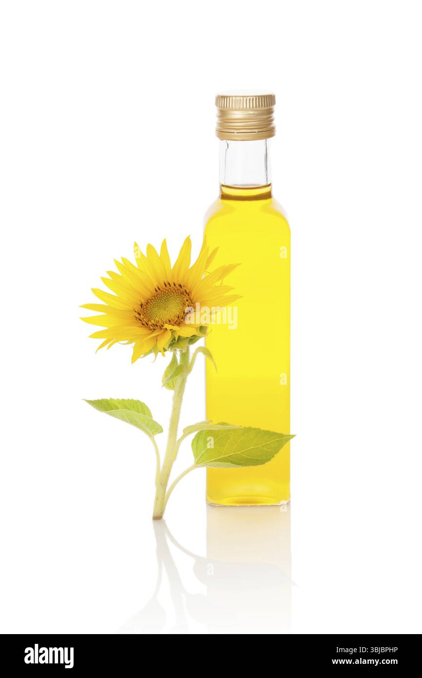 Olio di girasole e fiori di girasole isolati su sfondo bianco Foto Stock
