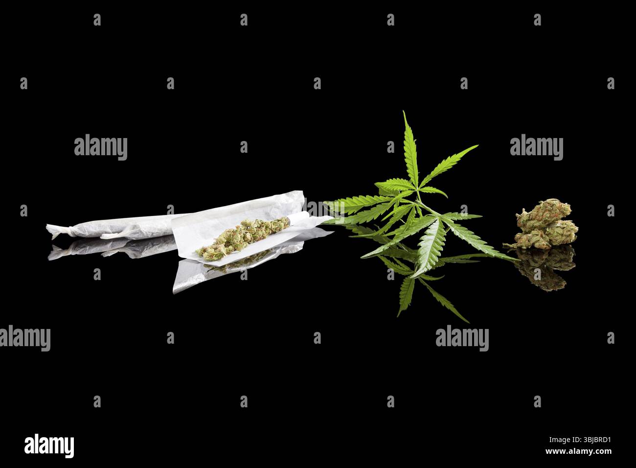 Informazioni sulla marijuana. Fusto di sigaretta di cannabis, boccioli e foglie di canapa isolati su sfondo nero. Droga che crea dipendenza o medicina alternativa Foto Stock