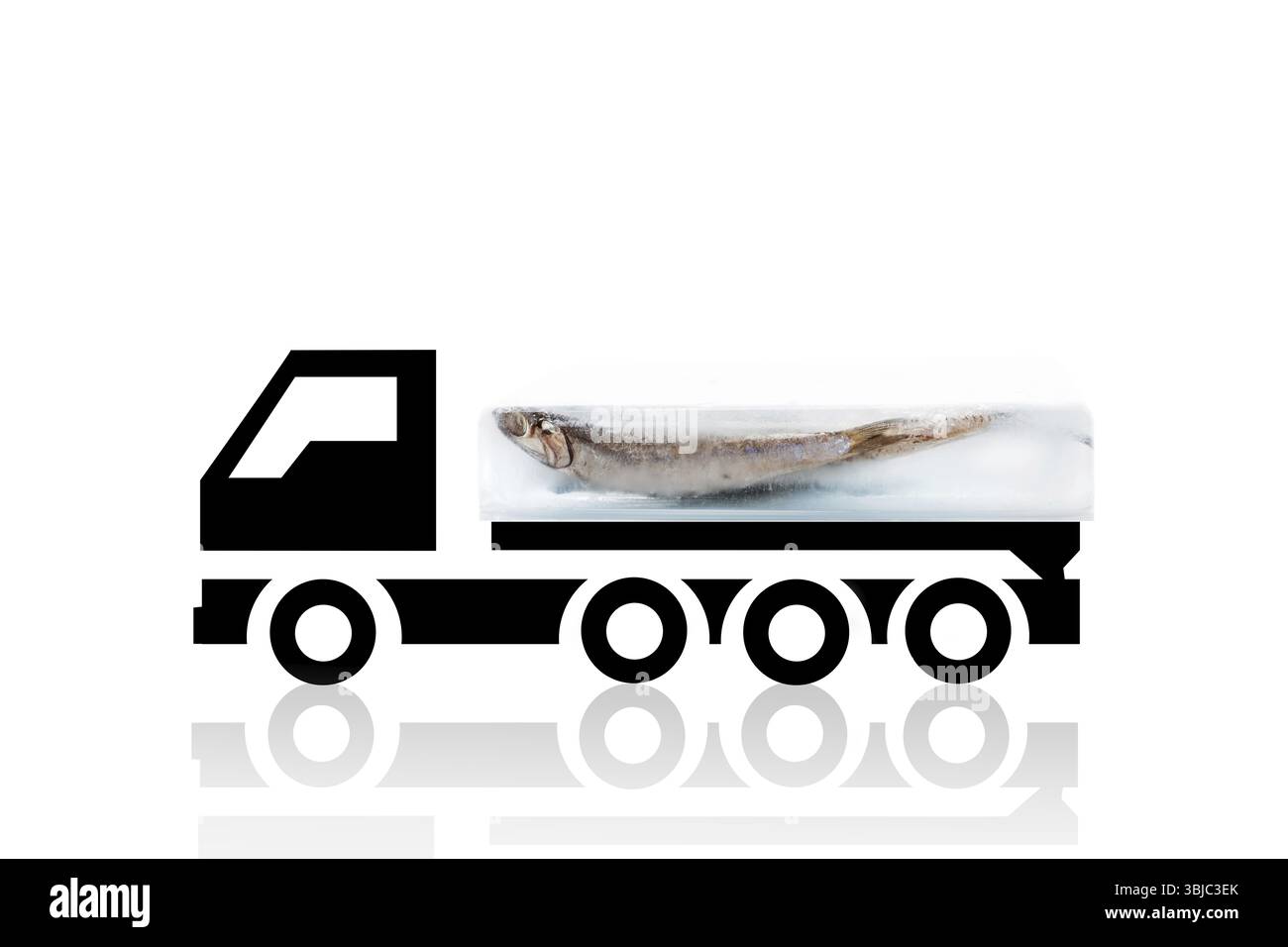 Pesce fresco di acciuga congelato in blocco di ghiaccio su un carrello refrigerante isolato su sfondo bianco. Trasporto di pesce fresco. Pesce fresco Foto Stock