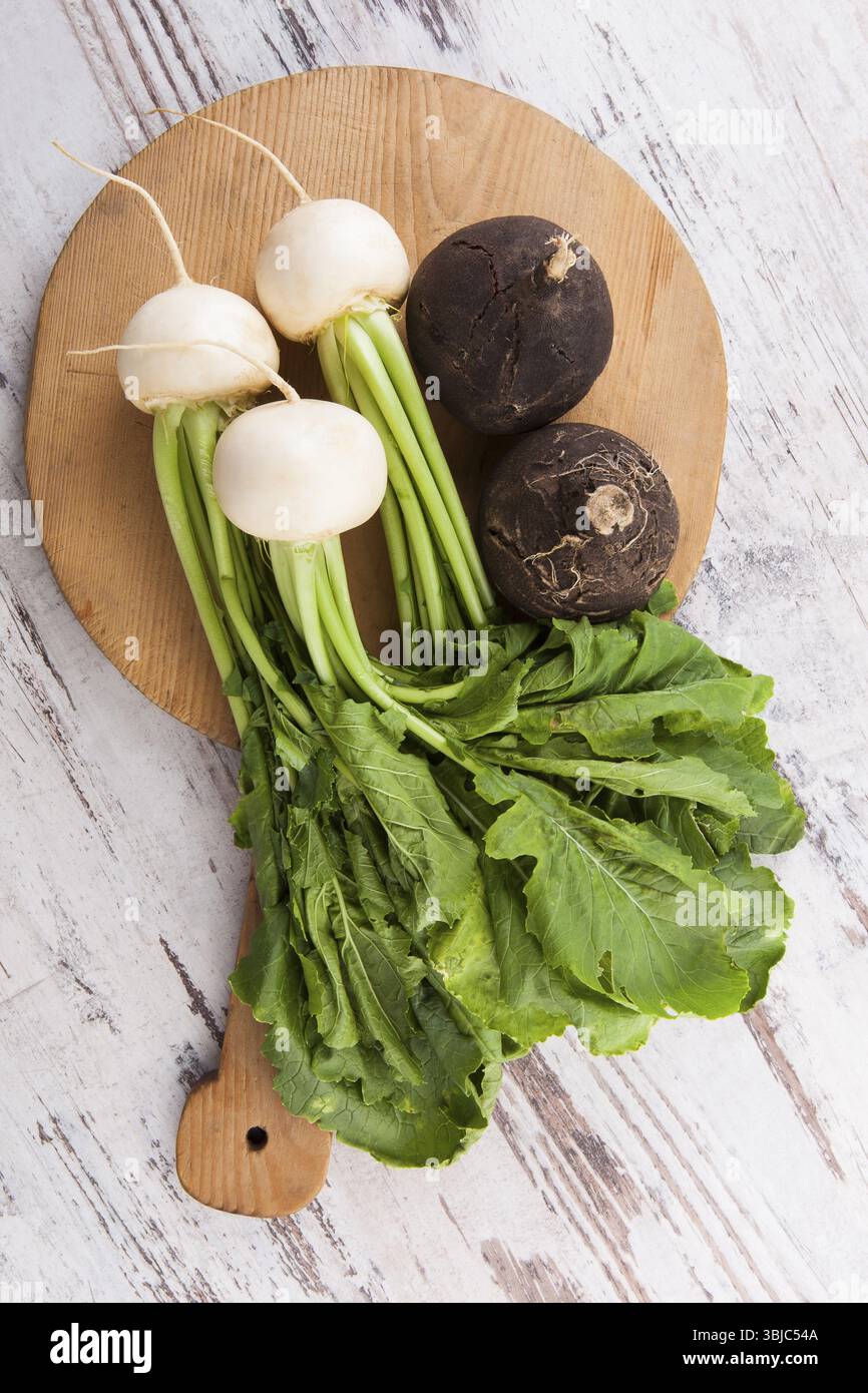 Ravanello bianco e spagnolo su tagliere rotondo in legno su sfondo bianco testurizzato in legno, vista dall'alto. Mangiare verdure salutari e culinarie Foto Stock