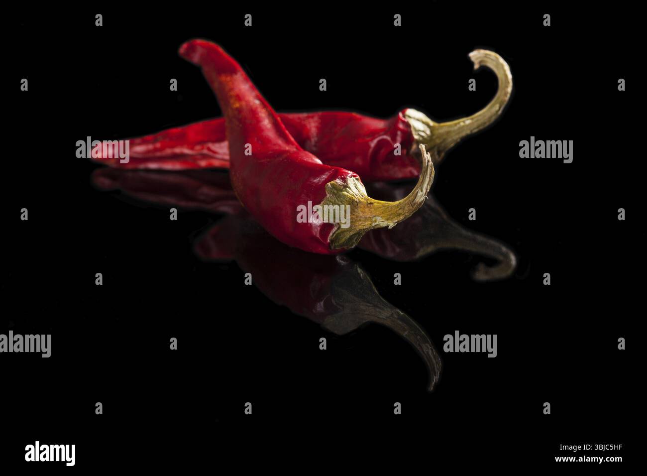 Peperoncino secco isolato su fondo nero. Ingredienti per cucinare a caldo Foto Stock