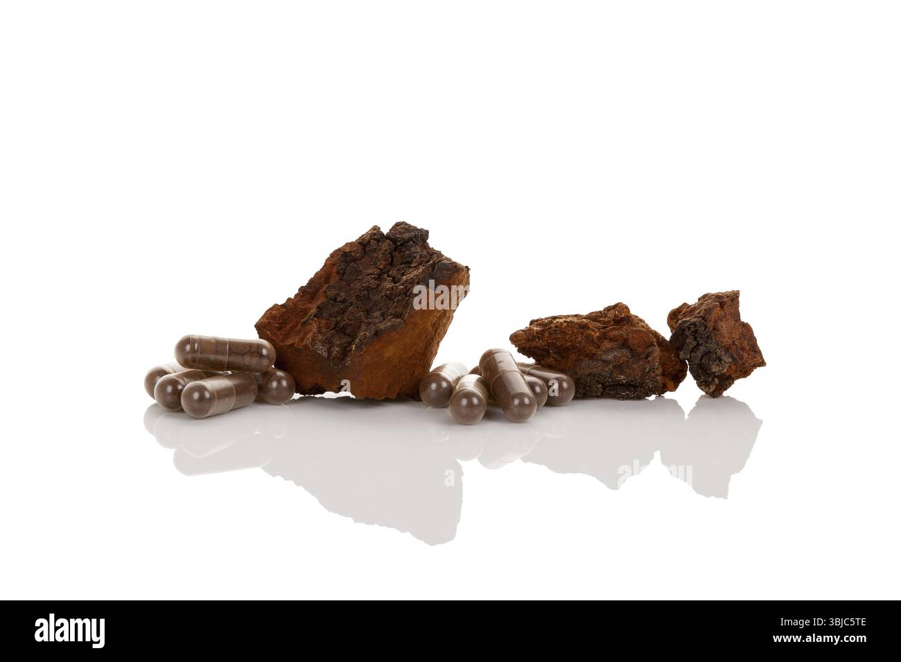 Inonotus obliquus, pezzi di chaga e supplemento in capsule di gel isolate su sfondo bianco. Fungo medicinale Foto Stock