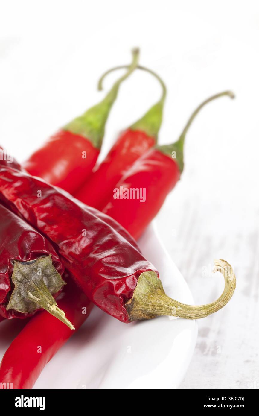 Peperoncino rosso caldo essiccato e fresco su piatto bianco su fondo bianco testurizzato in legno bianco. Ingredienti per cucinare a caldo Foto Stock