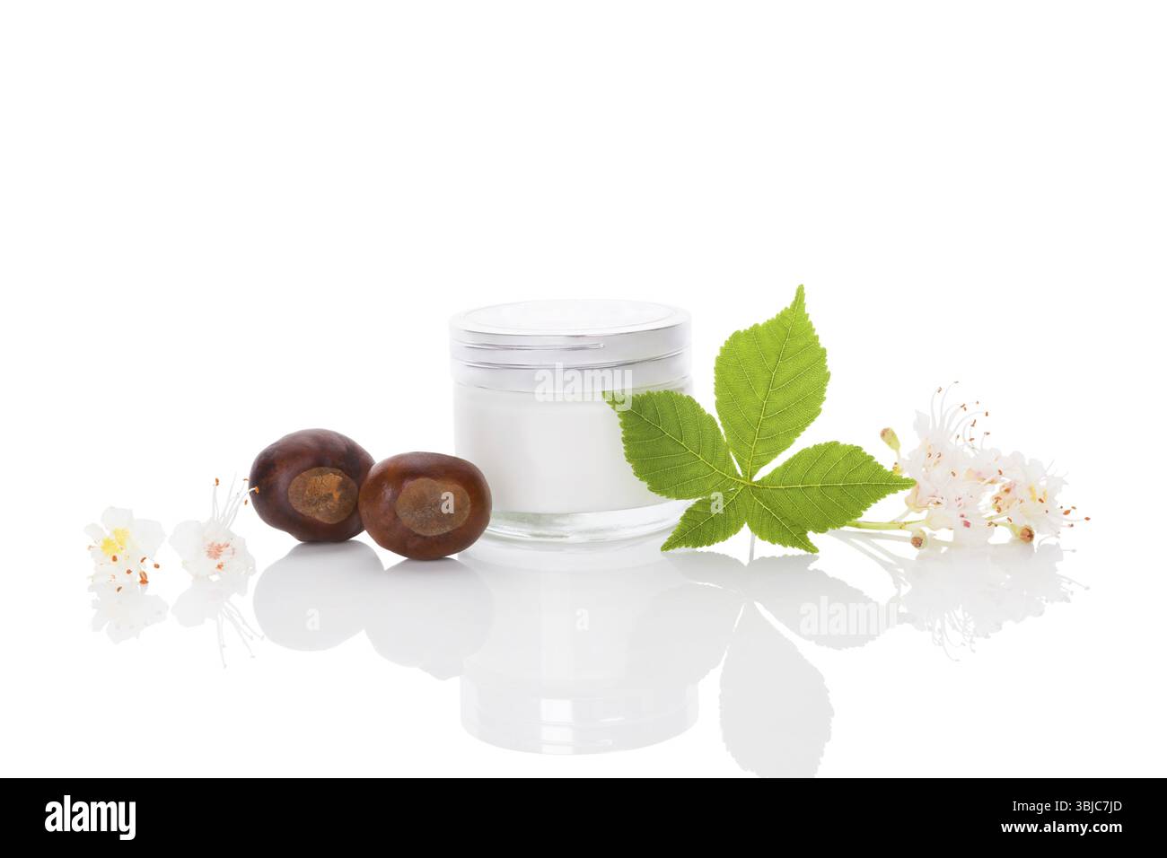 Sfondo di castagno. Semi, foglie, fiori e cosmetici isolati su sfondo bianco. Cosmetici biologici naturali sani e rimedio Foto Stock