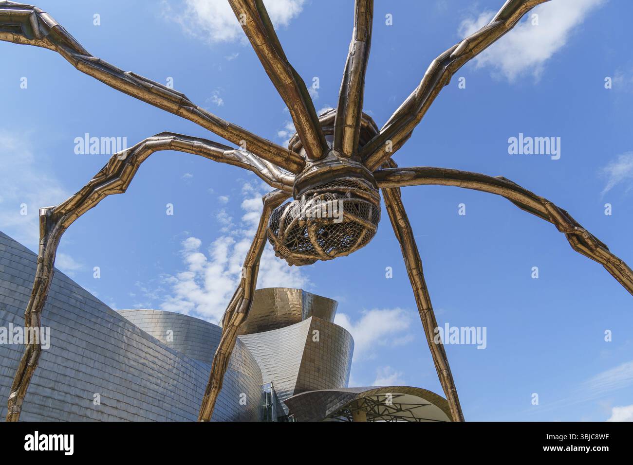 Grande scultura di ragno accanto a un edificio architettonico sotto un cielo blu, Bilbao, Paesi Baschi, Spagna, Europa Foto Stock