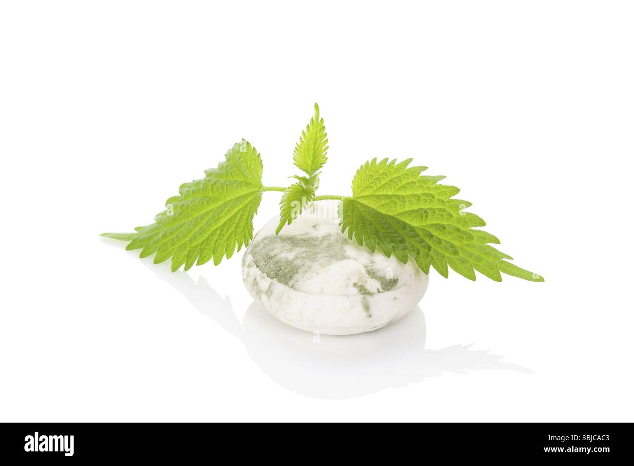 Foglie di ortica fresche e sapone organico. Cosmetici naturali sani. Cosmetici da ortica pungente Foto Stock