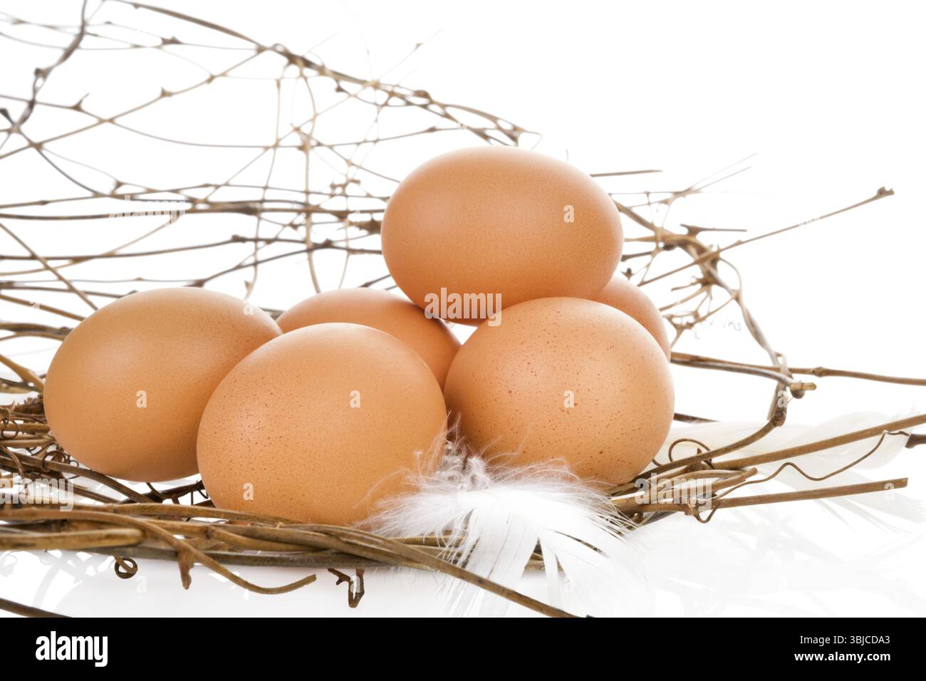 Uova fresche biologiche di colore marrone isolate su fondo bianco. Linguaggio delle immagini moderno e fresco. Arte culinaria Foto Stock