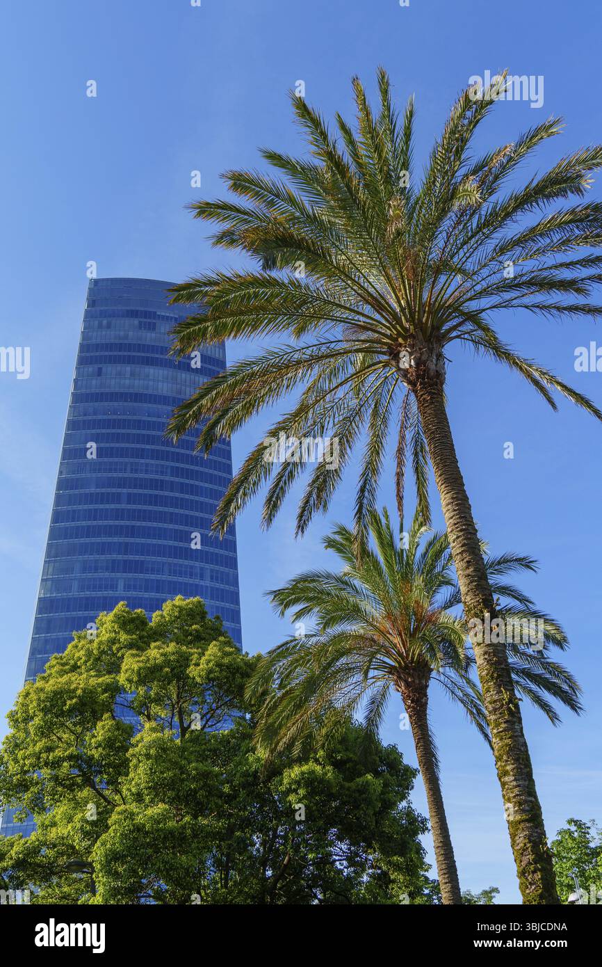 Un grattacielo torreggiante con palme e alberi in primo piano, Bilbao, Paesi Baschi, Spagna, Europa Foto Stock