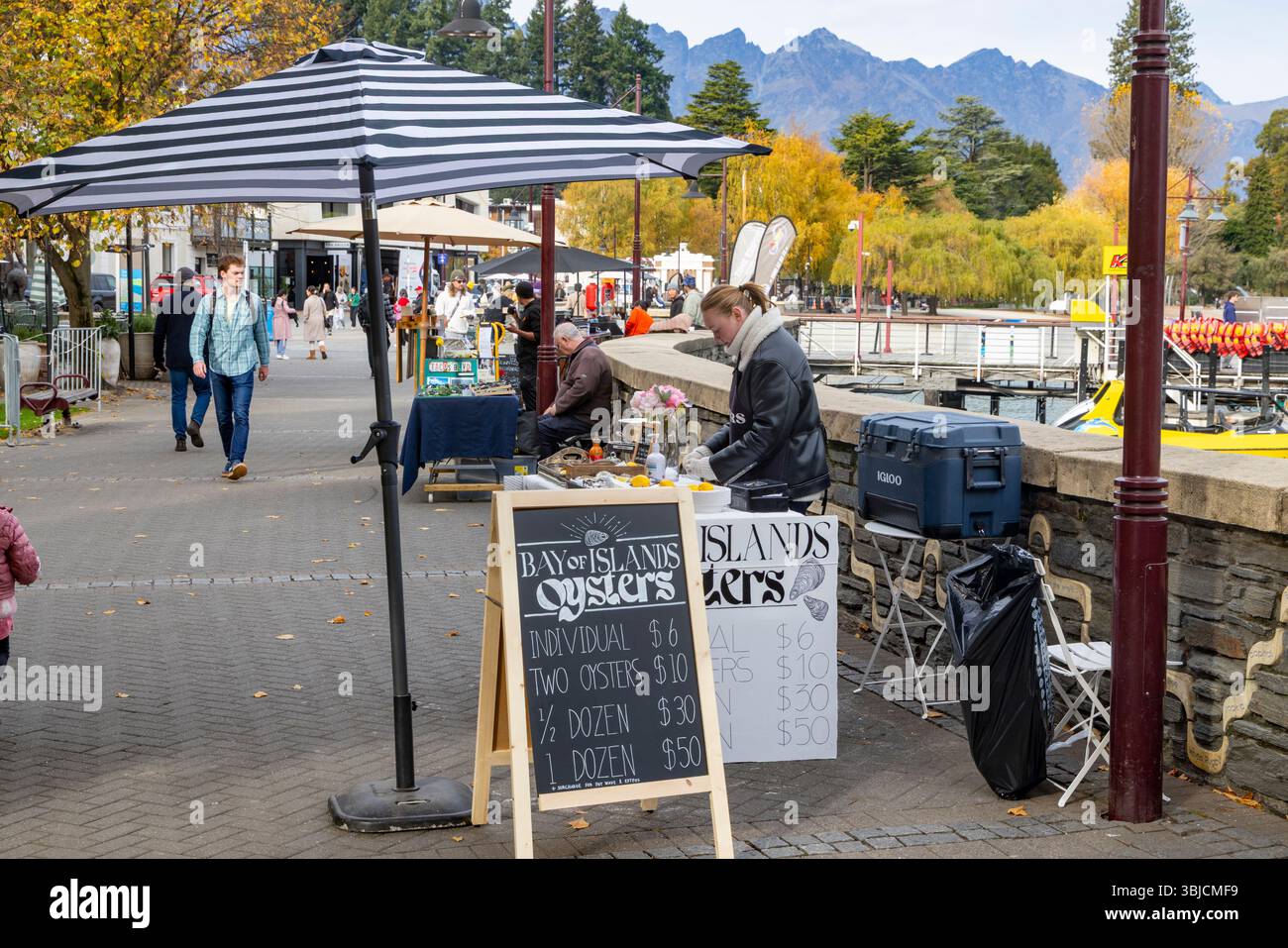 Lady che vende le ostriche fresche di strada della Bay of Islands sulla passeggiata al molo di Queenstown, nella regione di Otago, nell'Isola del Sud, in nuova Zelanda Foto Stock
