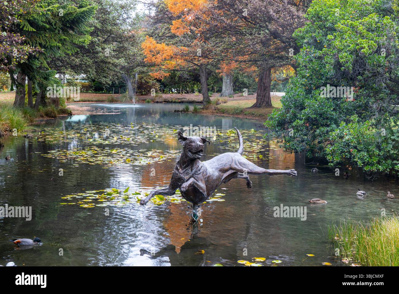 Queenstown Gardens e area parco con la scultura Kuri dog di Richard Wells nel lago con giardini botanici, Otago, South Island, nuova Zelanda Foto Stock