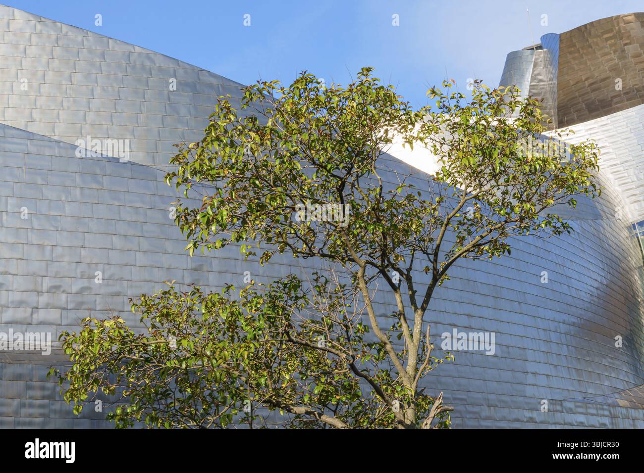 Albero naturale di fronte all'architettura metallica dell'edificio sotto un cielo limpido, Bilbao, Paesi Baschi, Spagna, Europa Foto Stock
