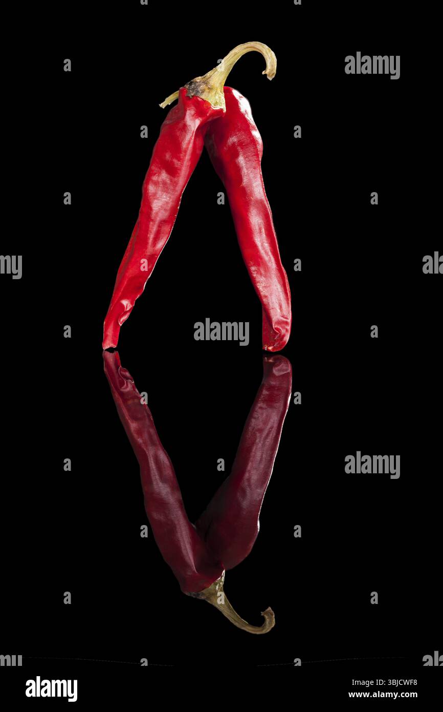 Due peperoncini rossi isolati su fondo nero. Ingrediente da cucina caldo Foto Stock