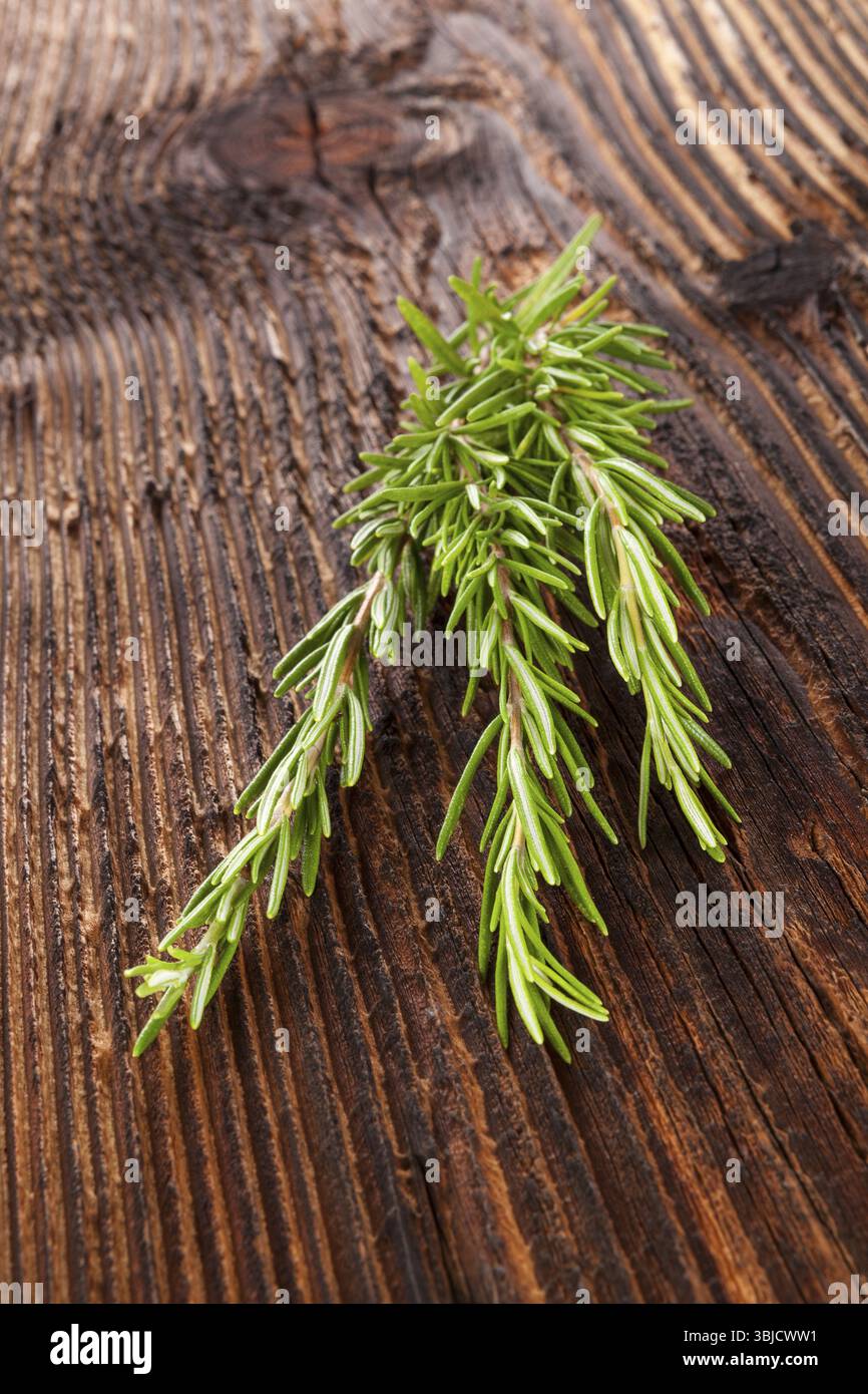 Erbe aromatiche fresche di rosmarino su fondo di legno. Erbe aromatiche culinarie Foto Stock