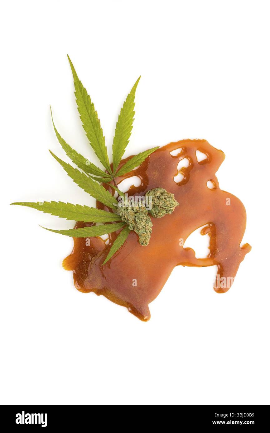 Boccioli di cannabis, foglie e frantumazione si concentrano su sfondo bianco. Concentrato di marijuana Foto Stock