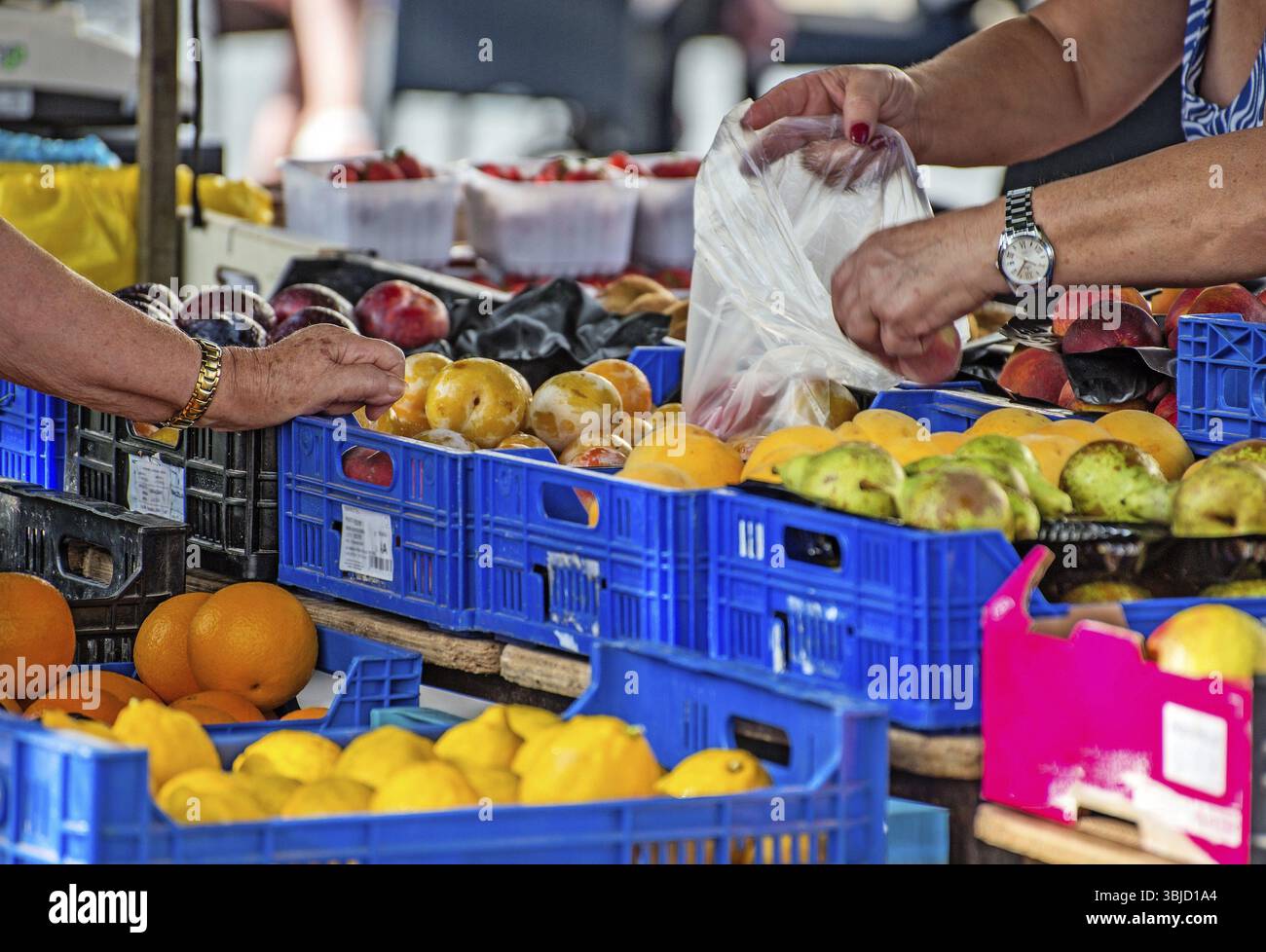 Donna anziana che acquista frutta sul mercato Foto Stock