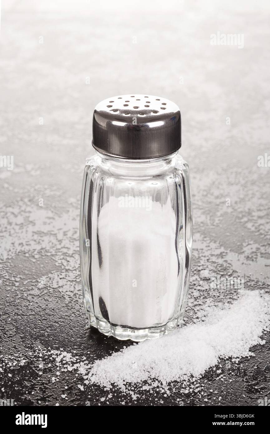 Sale classico nello shaker Foto Stock