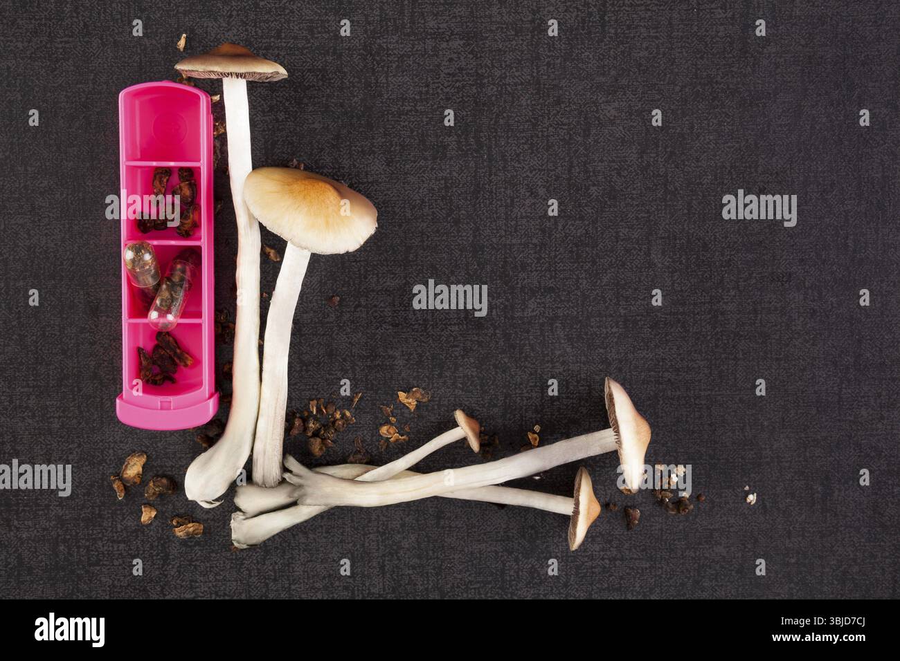 Microdosaggio di funghi psichedelici, funghi allucinogeni in tappi in gel nella scatola di pilastri sulla superficie nera, vista dall'alto. Medicina alternativa, rimedio naturale Foto Stock