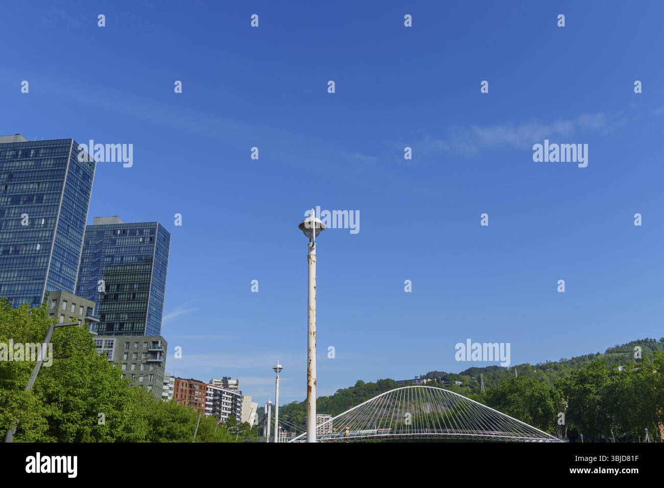 Edifici moderni e un ponte curvo in un ambiente urbano, Bilbao, Paesi Baschi, Spagna, Europa Foto Stock