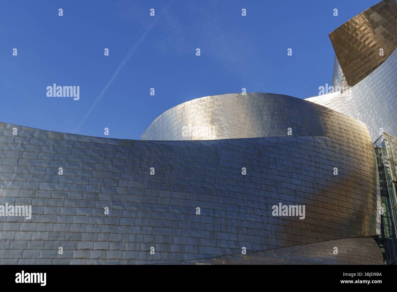Costruzione in acciaio a forma d'onda di un edificio contro un cielo limpido, Bilbao, Paesi Baschi, Spagna, Europa Foto Stock